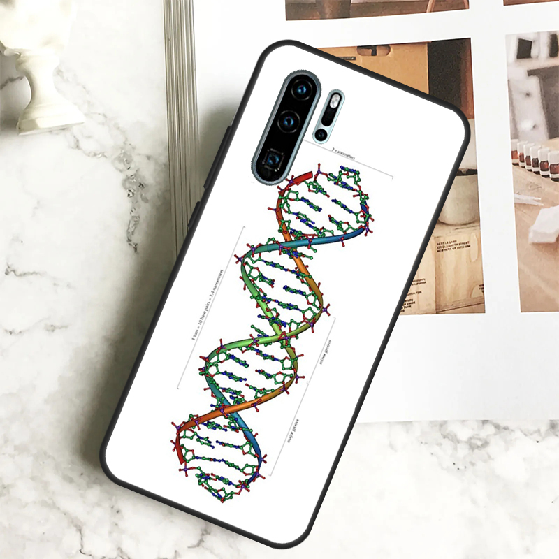 Bilim DNA Biyoloji Huawei Nova - Science Nova incelemesi ve fiyatı